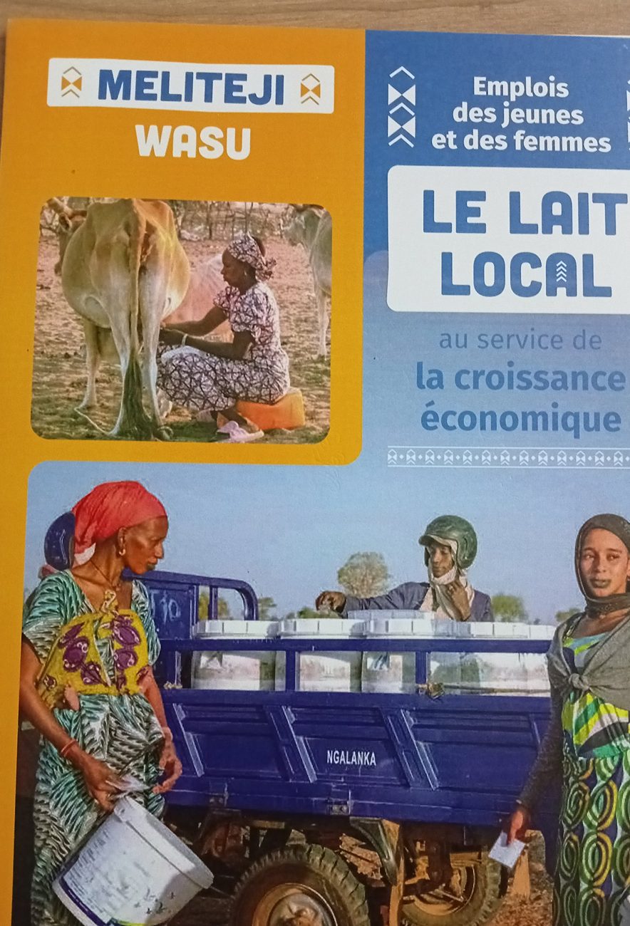 Brochure de présentation du projet MELITEJI WASU