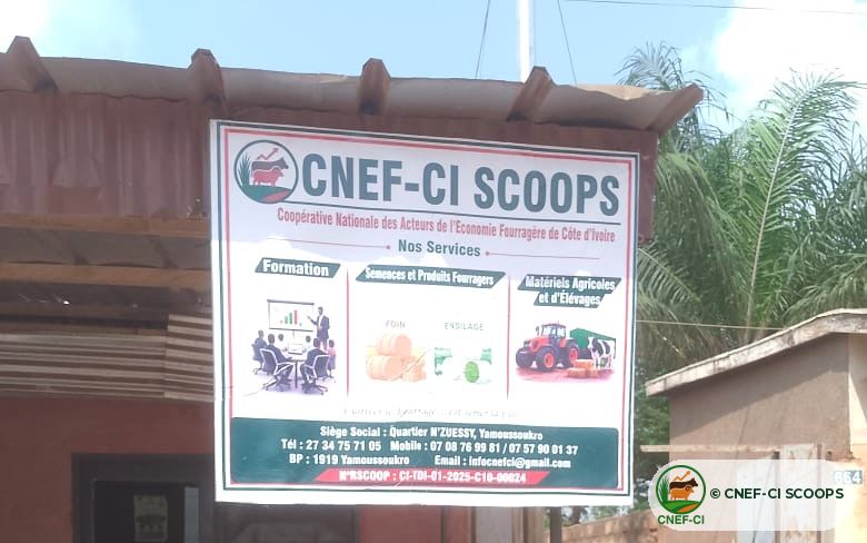 Façade et enseigne du siège de la CNEF-CI SCOOPS, quartier N'Zuessy, Yamoussoukro