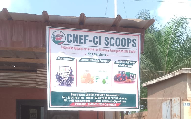 Façade et enseigne du siège de la CNEF-CI SCOOPS, quartier N'Zuessy, Yamoussoukro