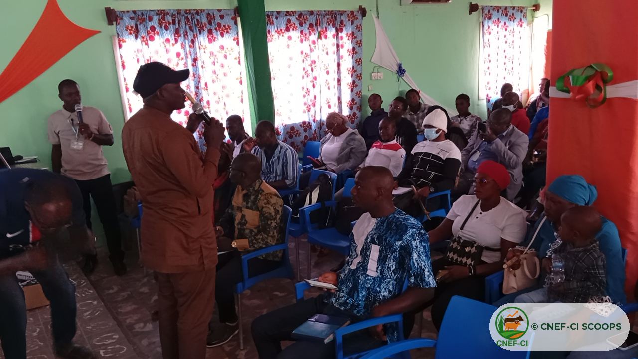 Échanges avec les participants pendant la formation CNEF-CI