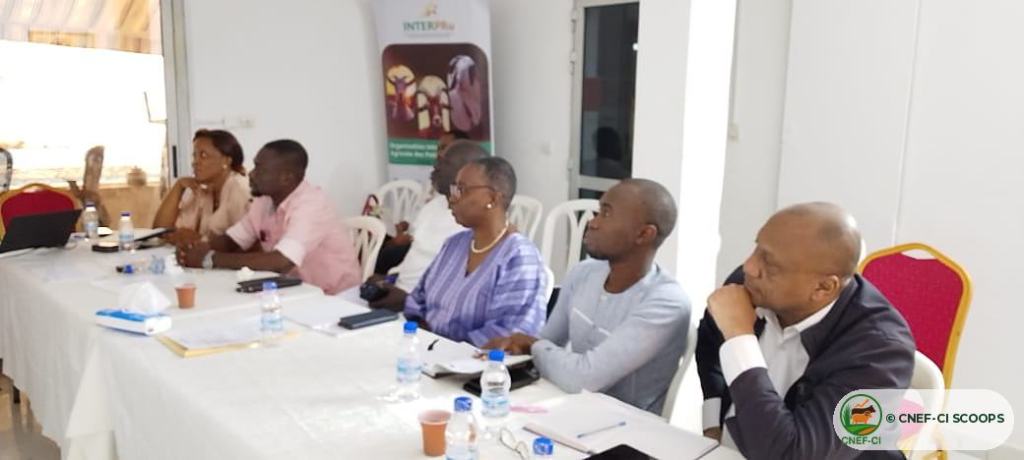 Formation animée par la CNEF-CI SCOOPS au profit des membres de l'INTERPRu
