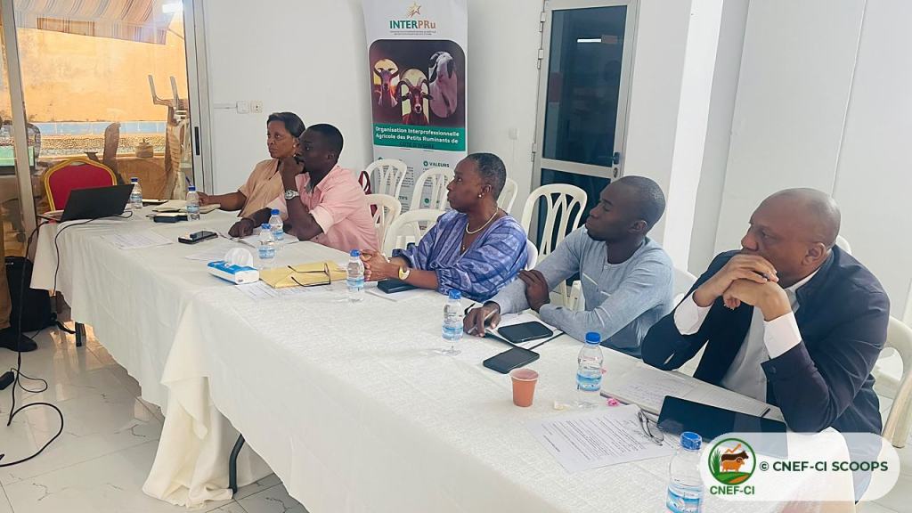 Formation animée par la CNEF-CI SCOOPS au profit des membres de l'INTERPRu