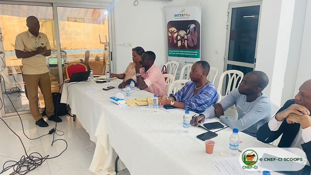 Formation animée par la CNEF-CI SCOOPS au profit des membres de l'INTERPRu