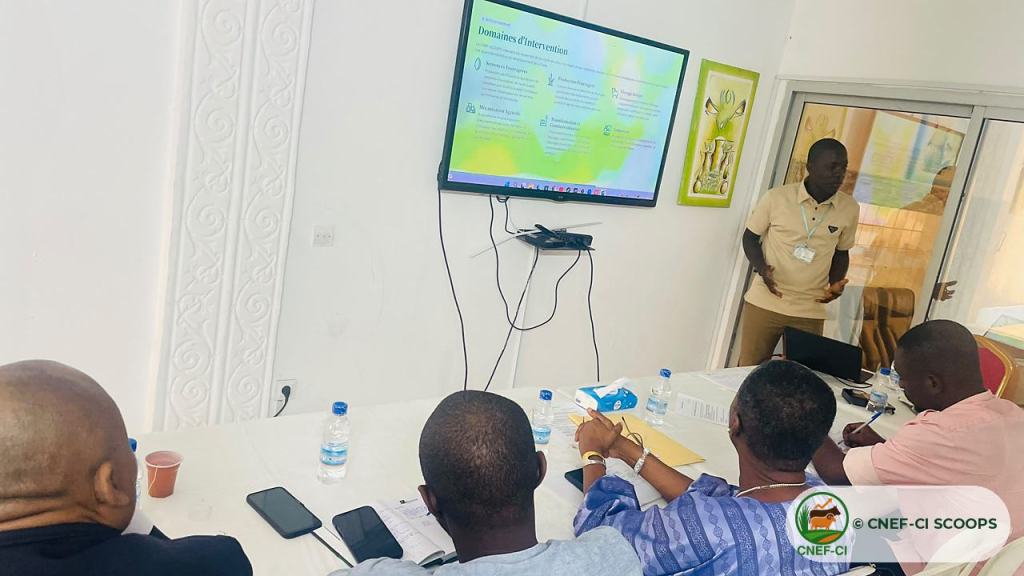 Formation animée par la CNEF-CI SCOOPS au profit des membres de l'INTERPRu