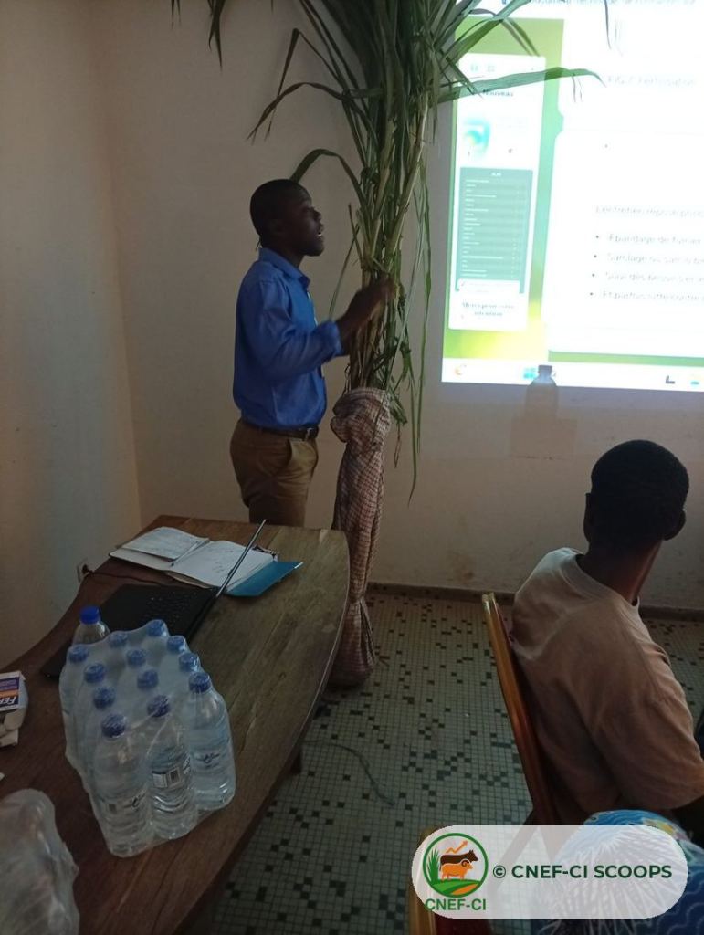 Formation CNEF-CI au MIRAH de Korhogo (22 juin 2026)
