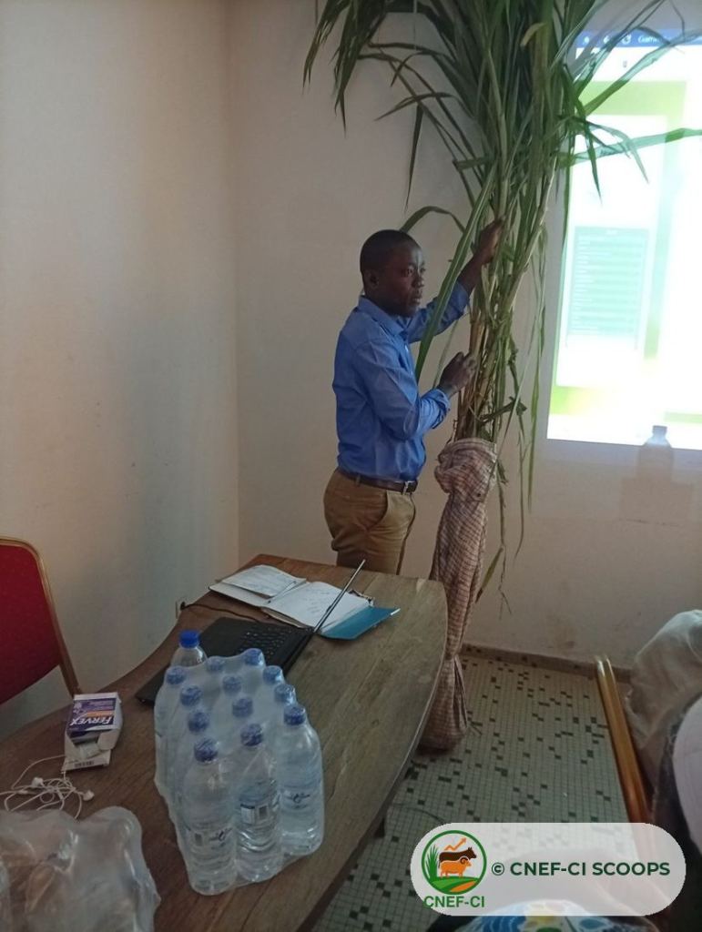 Formation CNEF-CI au MIRAH de Korhogo (22 juin 2026)