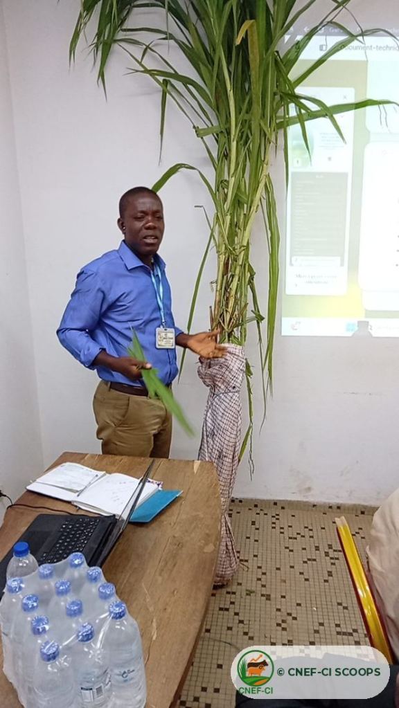 Formation CNEF-CI au MIRAH de Korhogo (22 juin 2026)