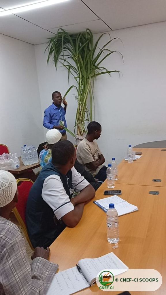 Formation CNEF-CI au MIRAH de Korhogo (22 juin 2026)