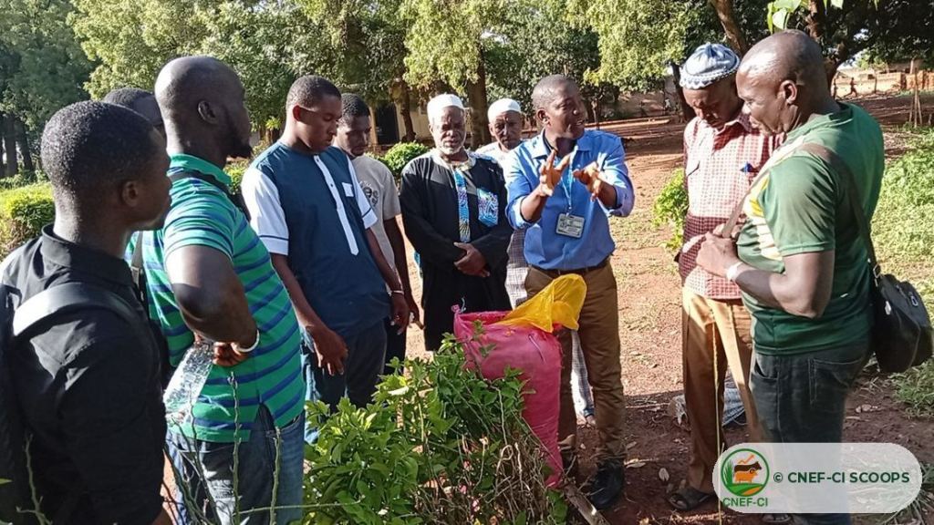 Séance pratique sur le terrain — Korhogo