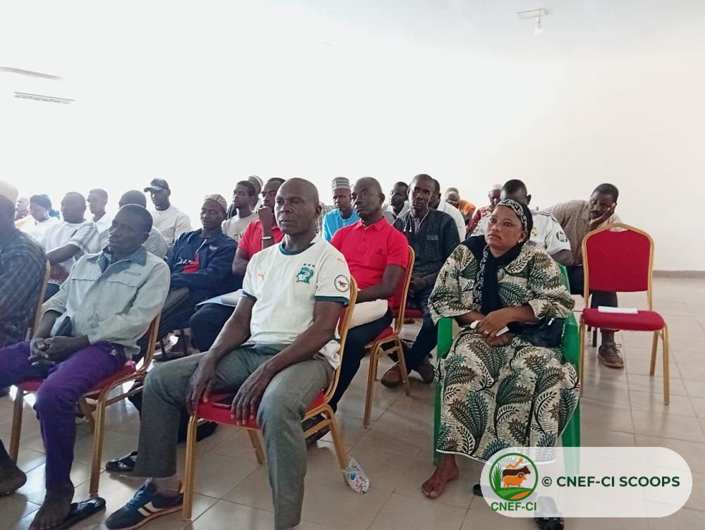 Les participants suivent la formation gratuite au LANADA de Korhogo