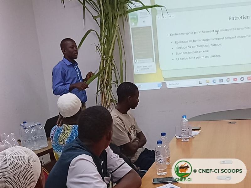 Formation CNEF-CI sur la culture du Maralfalfa : l’entretien des parcelles