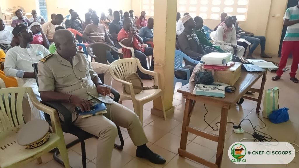 Formation gratuite CNEF-CI sur la production de fourrage — Odienné
