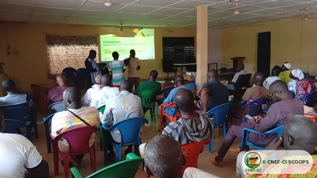 Formation gratuite CNEF-CI sur la production de fourrage — Odienné
