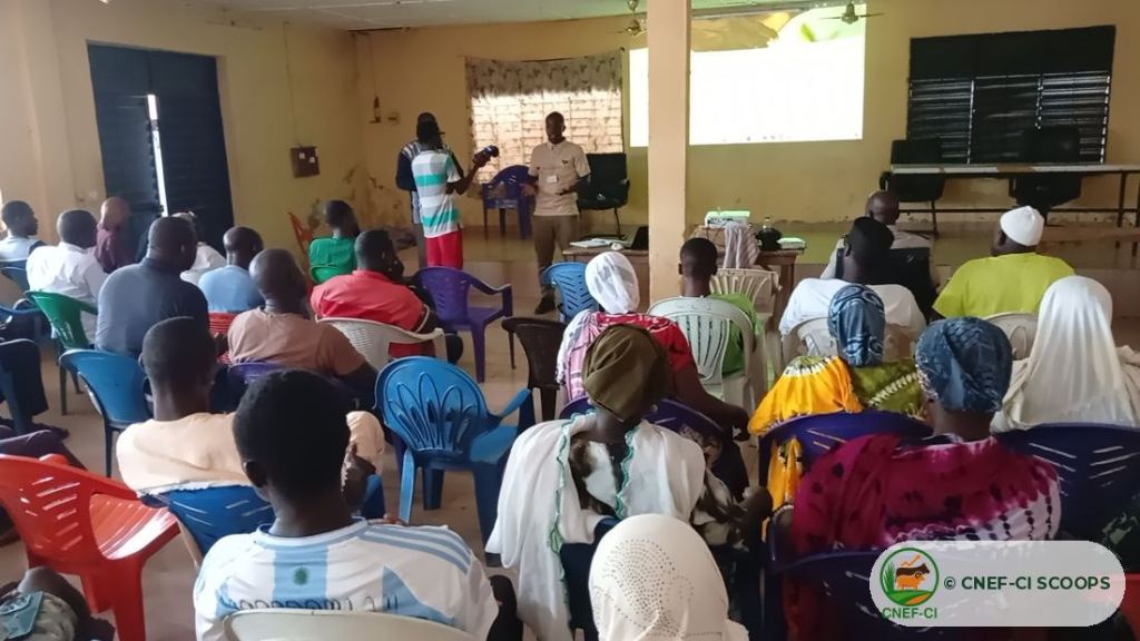Formation gratuite CNEF-CI sur la production de fourrage — Odienné