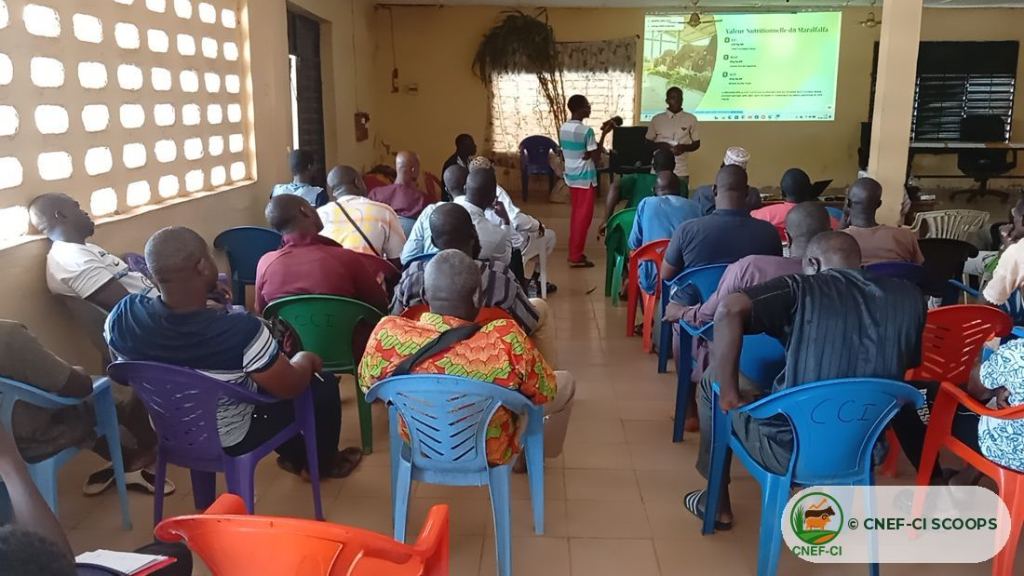Formation gratuite CNEF-CI sur la production de fourrage — Odienné
