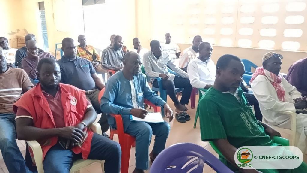 Formation gratuite CNEF-CI sur la production de fourrage — Odienné