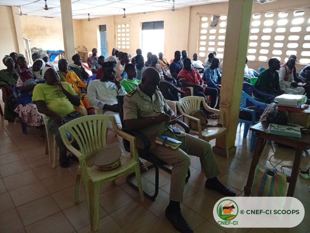 Formation gratuite CNEF-CI sur la production de fourrage — Odienné