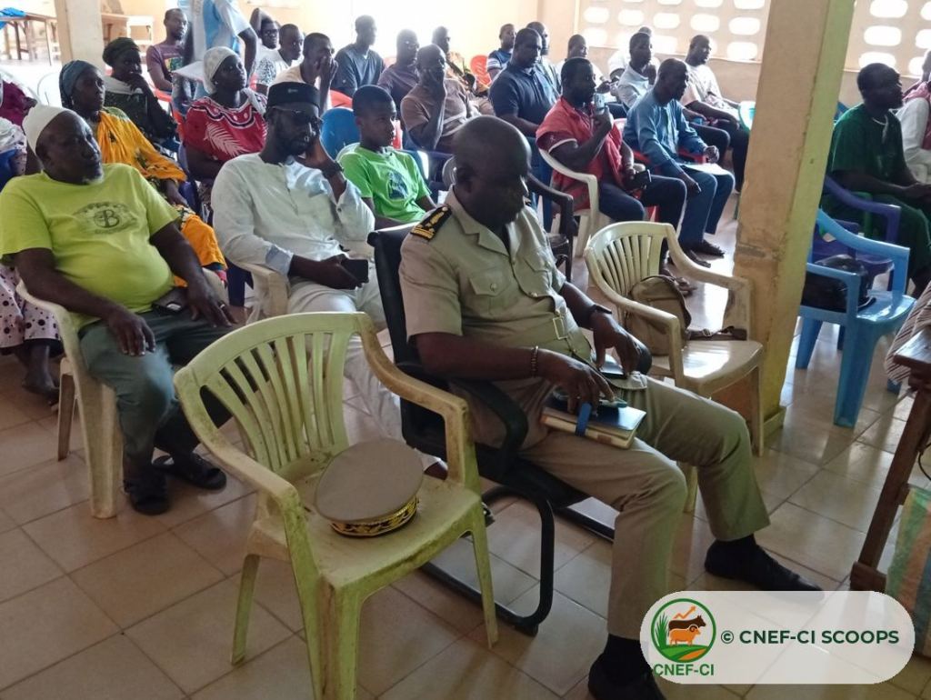 Formation gratuite CNEF-CI sur la production de fourrage — Odienné