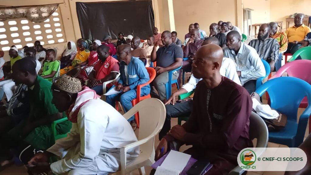 Formation gratuite CNEF-CI sur la production de fourrage — Odienné