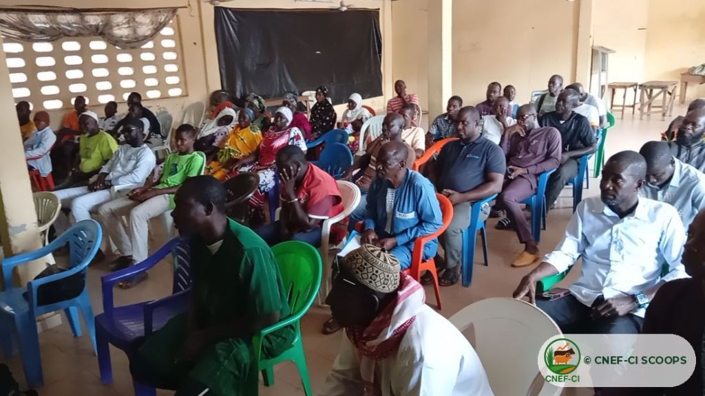 Formation gratuite CNEF-CI sur la production de fourrage — Odienné