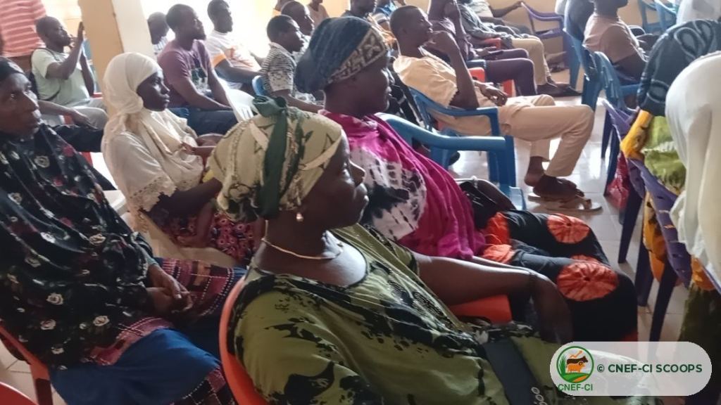 Formation gratuite CNEF-CI sur la production de fourrage — Odienné