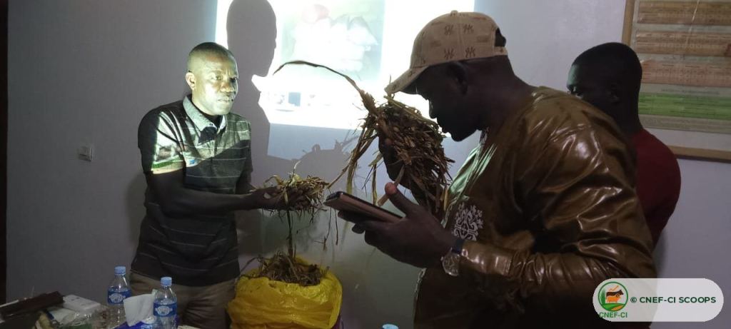 Formation CNEF-CI à l'OPEF de Ferkessédougou (11 avril 2026)