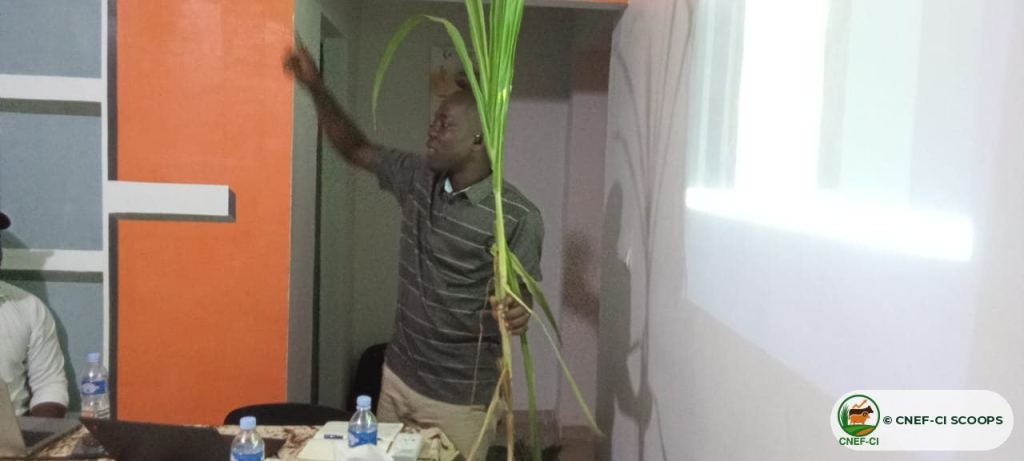 Formation CNEF-CI à l'OPEF de Ferkessédougou (11 avril 2026)