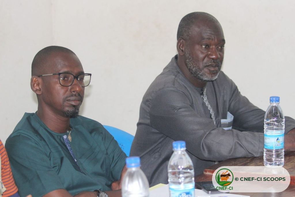 Participants attentifs pendant la formation CNEF-CI à Toumodi