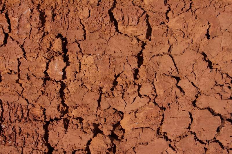 Sol craquelé par la sécheresse