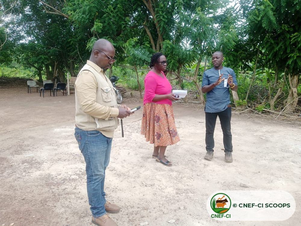 Échanges entre l’équipe du projet MELITEJI WASU et la CNEF-CI SCOOPS sur le site de production de Yamoussoukro