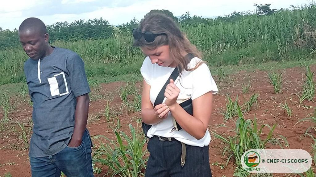 Visite de terrain de l'ONG Nitidæ — production de semences fourragères