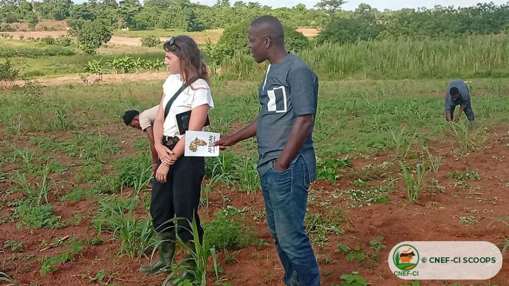 Visite de terrain de l'ONG Nitidæ — production de semences fourragères