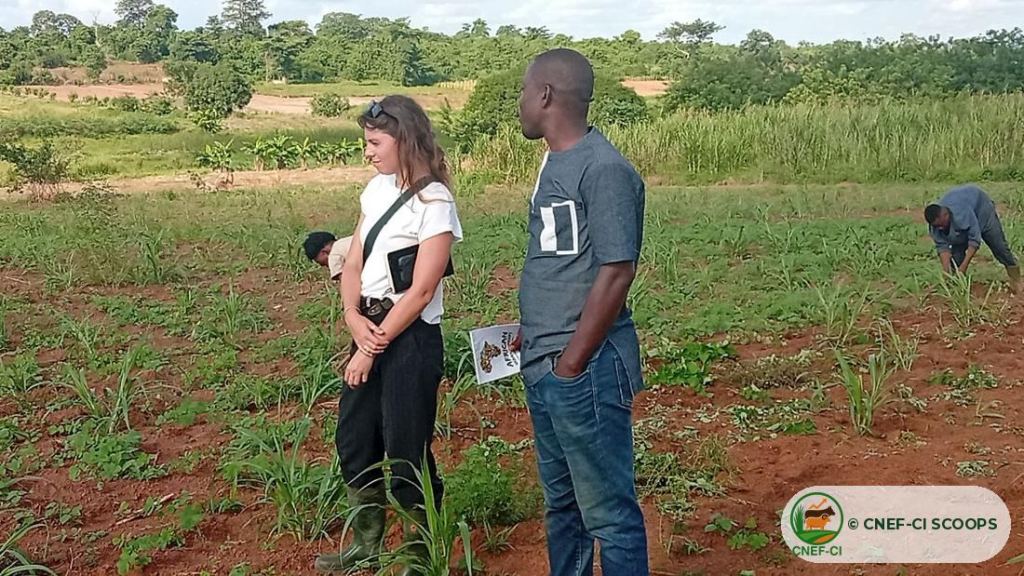 Visite de terrain de l'ONG Nitidæ — production de semences fourragères