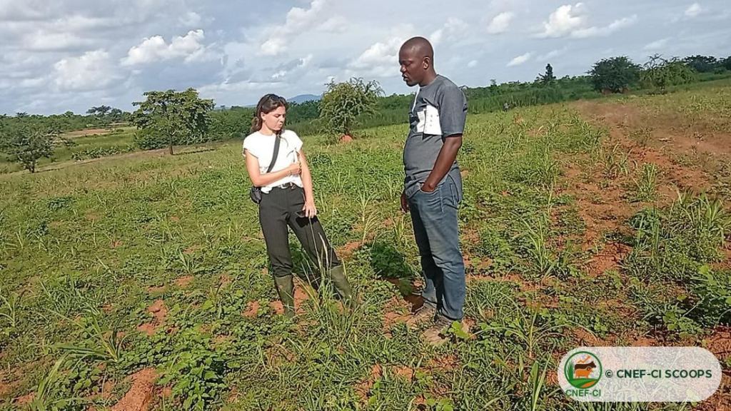 Visite de terrain de l'ONG Nitidæ — production de semences fourragères