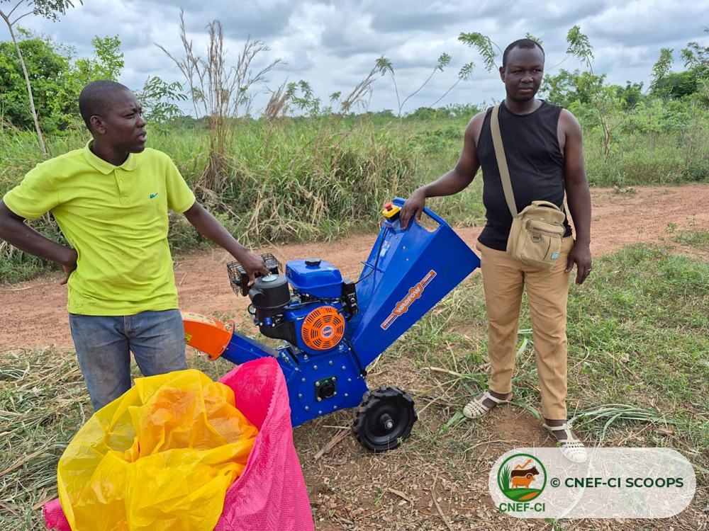 L’équipe sur la parcelle de fourrage, pendant la séance pratique sur l’ensilage